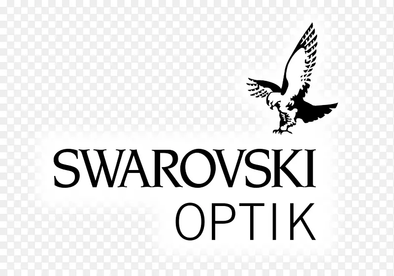 施华洛世奇Optik标志施华洛世奇字型设计