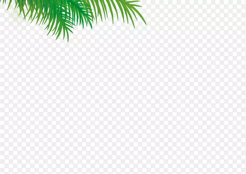 松叶植物茎枣棕榈天空有限公司-鸡块透明背景