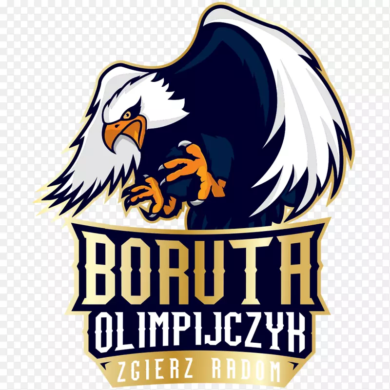 “Boruta”徽标olimpijczyk Radom图形设计文本