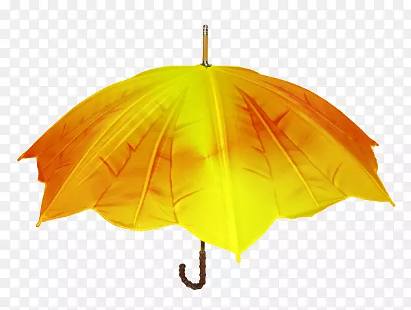 雨伞和阳伞设计