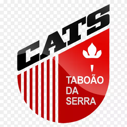 足球禁忌达塞拉标志猫塔布巴西