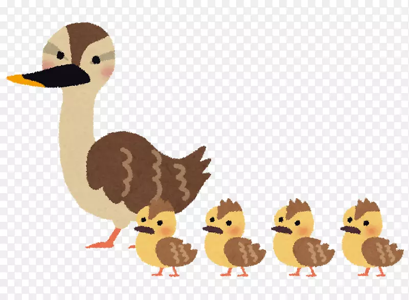 印度斑点鸭鸟儿童插图
