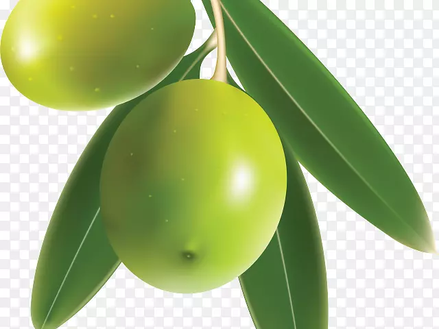 png图片剪辑艺术橄榄希腊美食形象-莫林德橄榄
