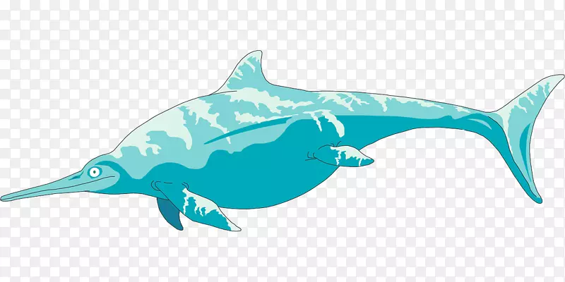 粗齿海豚剪贴画图形鱼龙图像鲨鱼