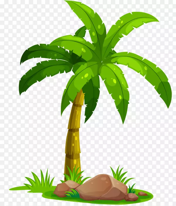 剪贴画椰子图像png图片棕榈树-莫妮堡