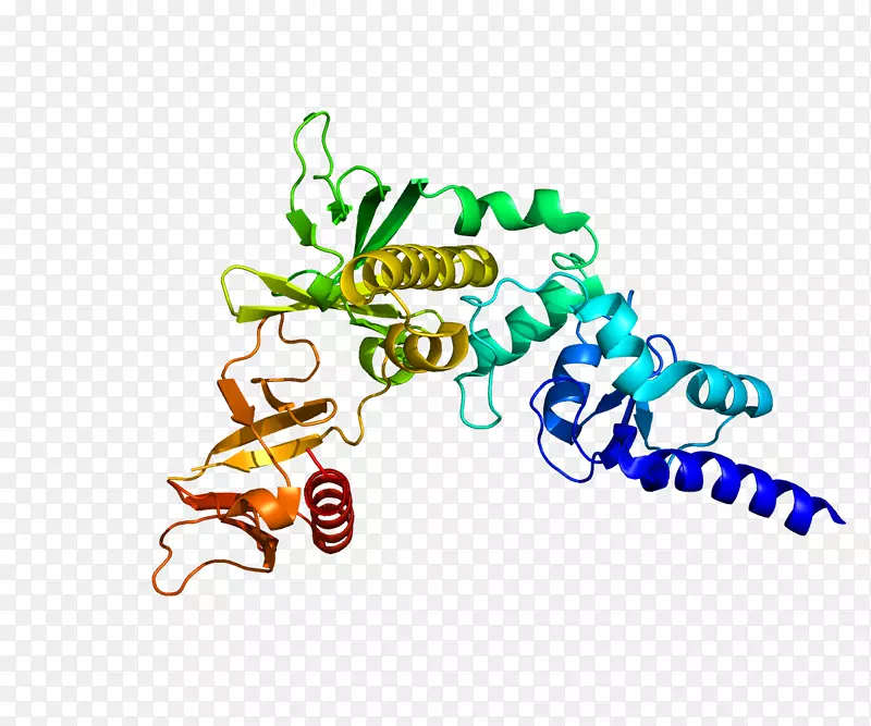 百里香，α1蛋白间隙基因生物化学
