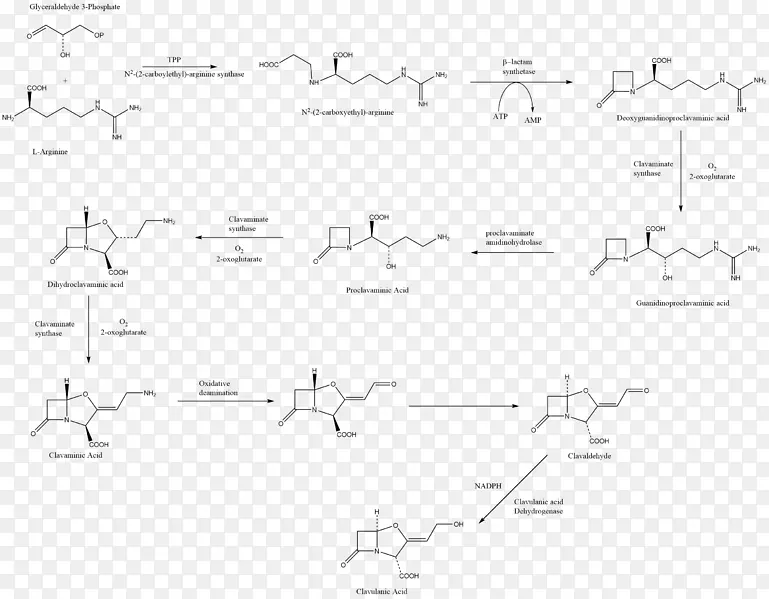 阿莫西林/克拉维酸生物合成抗生素化学合成
