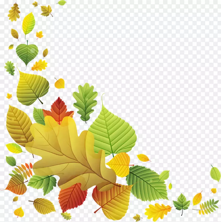 png图片图像秋季剪贴画叶花系列