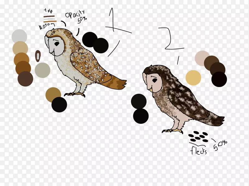 猫头鹰插图卡通动物喙-猫头鹰