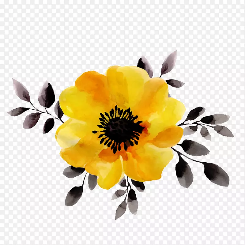 图摄影花卉设计插图.花