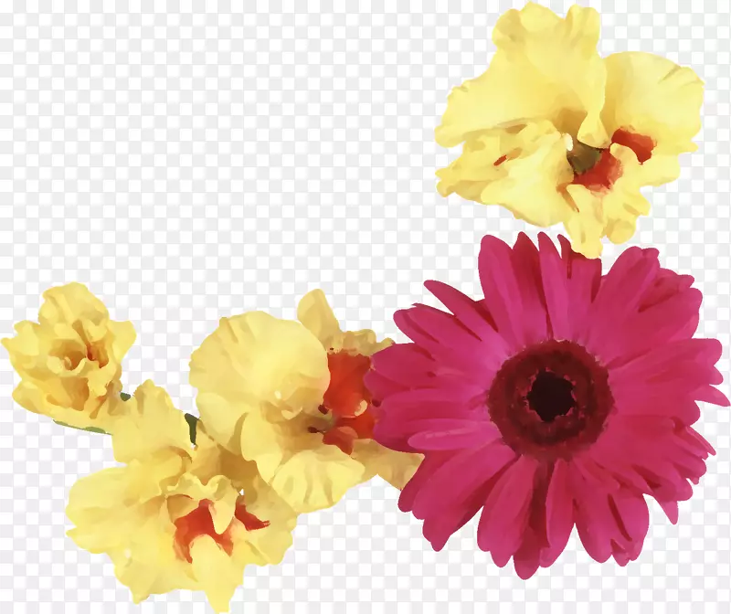 特兰士瓦菊花设计花束-花