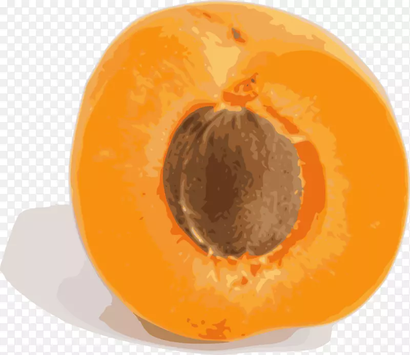杏干果亚美尼亚梅子食品-杏