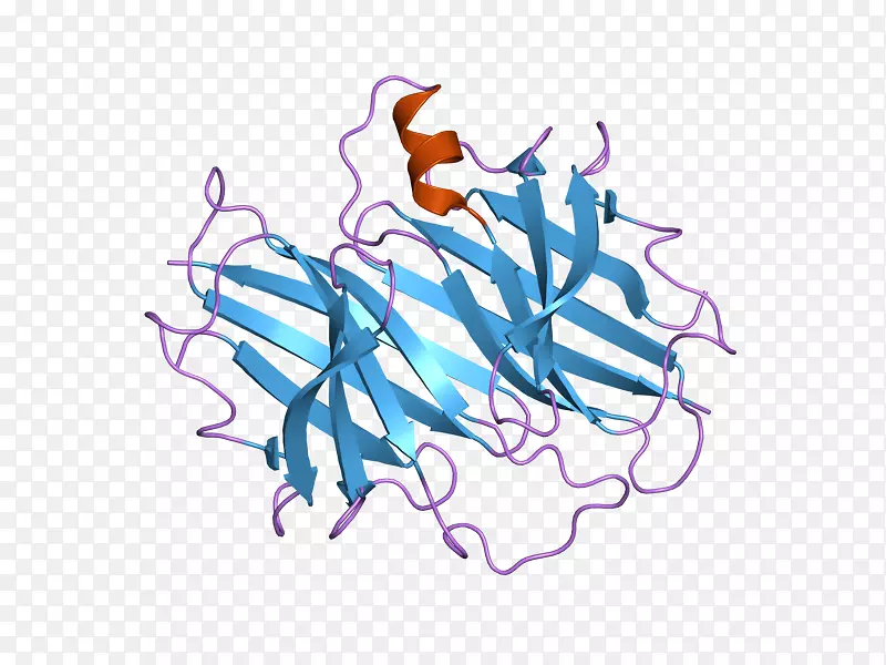 转胸腺素RNA干扰甲状腺激素视黄醇结合蛋白基因