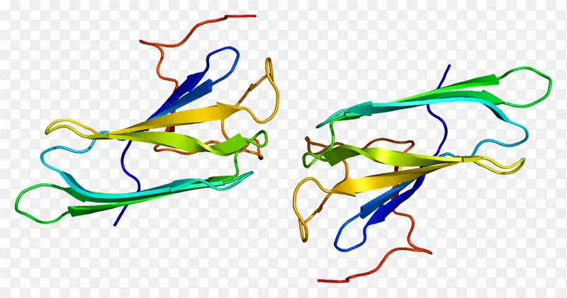 ptges 3蛋白前列腺素e合酶伴侣HSP 90异种生物