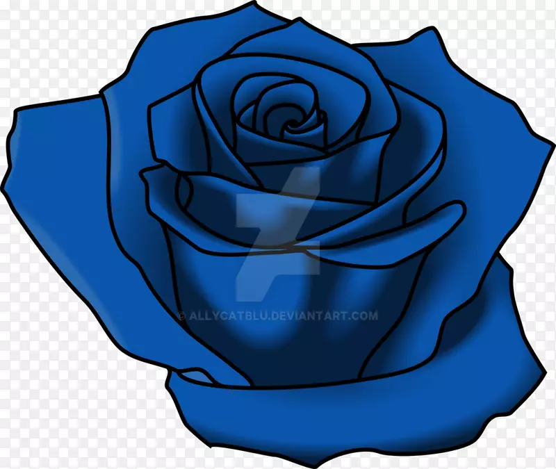 蓝色玫瑰花园玫瑰切花-朱莉娅