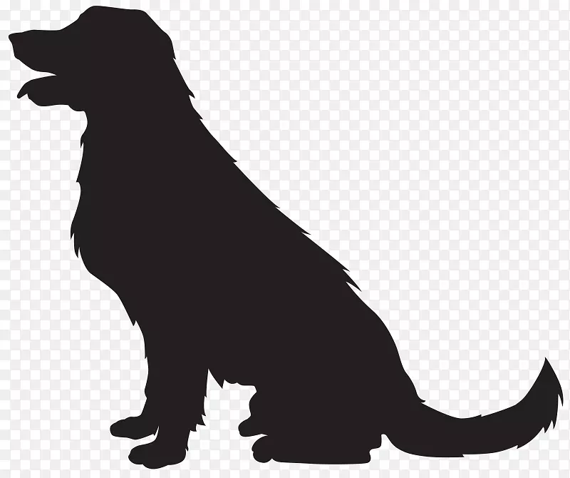小狗金毛猎犬拉布拉多猎犬夹艺术png网络图.小狗