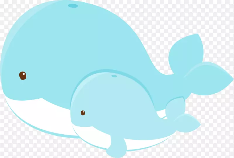 鲸鱼、海豚和海豚插图海洋生物-海豚