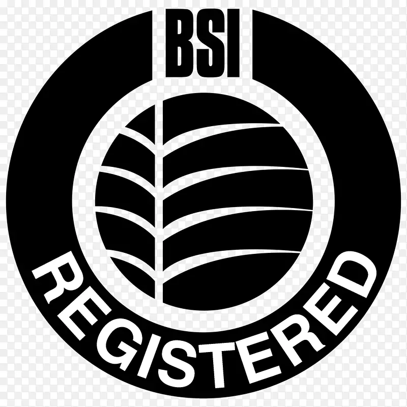 标志B.S.I.品牌图形标志-YouTube徽标