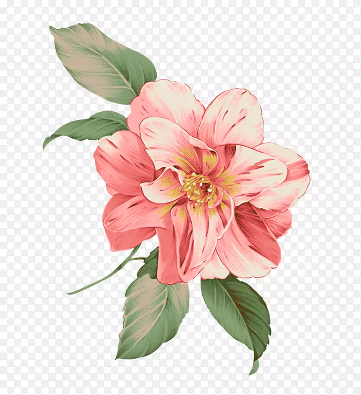 插画花卉形象设计粉红花