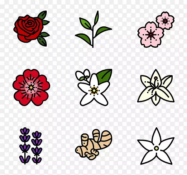 花卉设计、计算机图标、计算机文件、可移植网络图形、可伸缩图形.自然字体