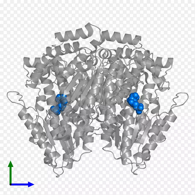 钴蓝字体线树-磷酸葡萄糖酸