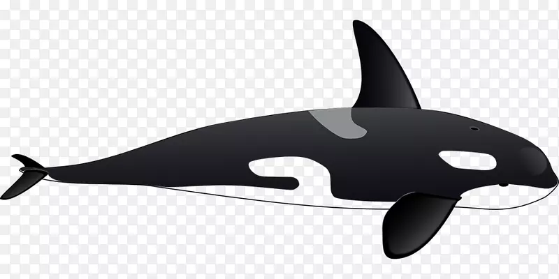 剪贴画虎鲸画鲸免费内容-领航员巴利娜