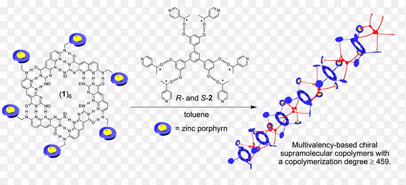 超分子聚合物手性超分子化学分子-生物分子聚合物