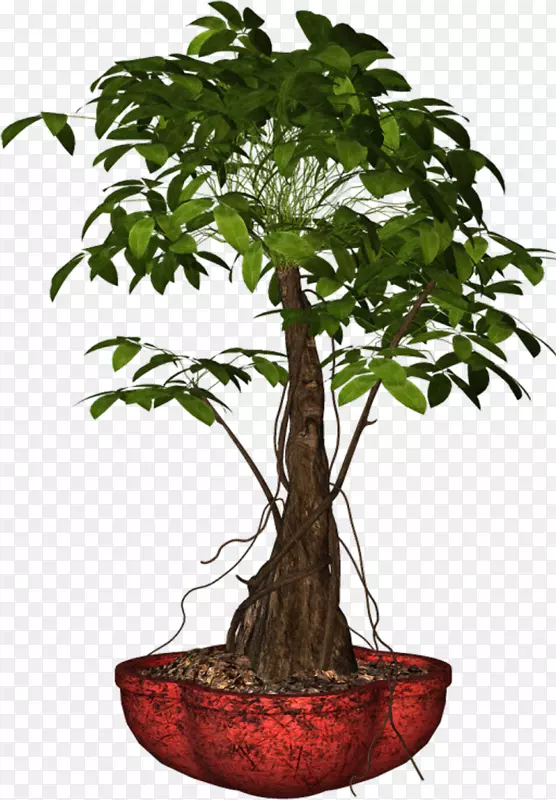 盆花盆栽移动式网络图形植物.植物