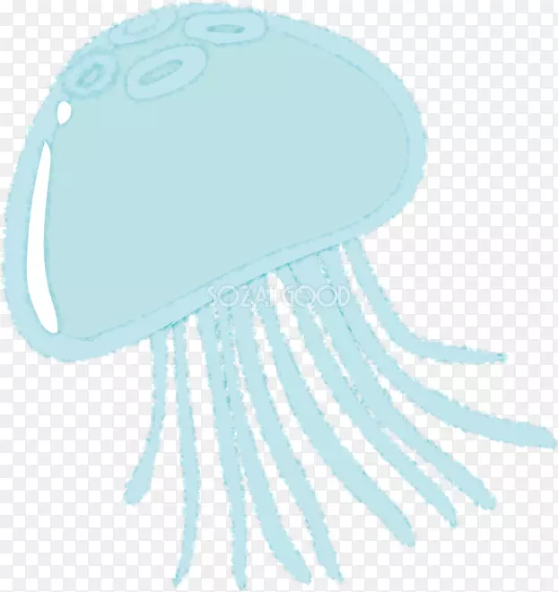 水母插图海月果冻Kamo水族馆-夏季