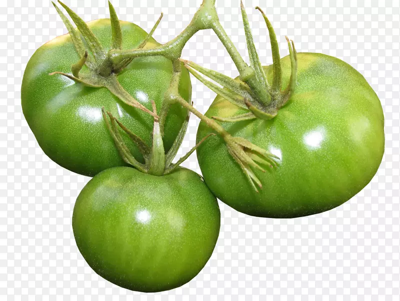 番茄有机食品素食