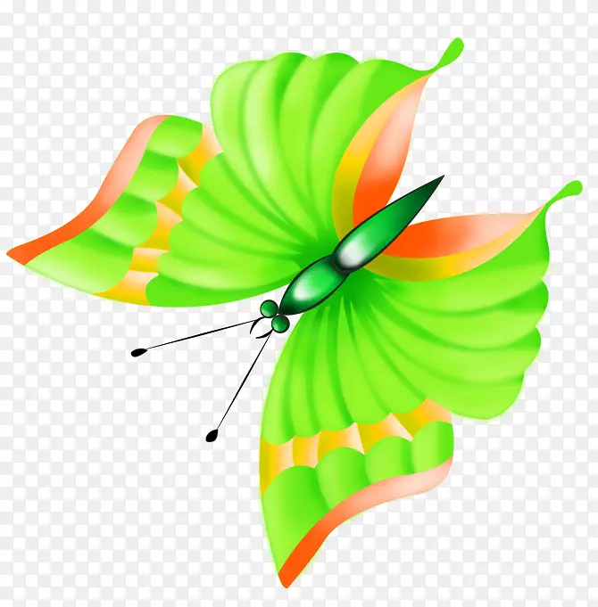 剪贴艺术蝴蝶png图片绘制开放件紧固