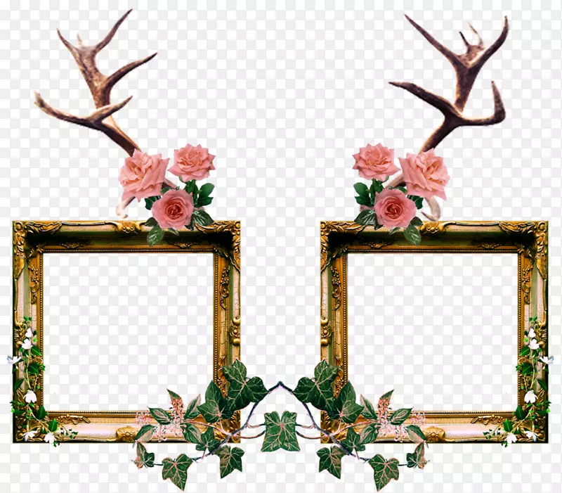 画框，剪贴画，图像装饰，涂抹水晶玫瑰，小框架-abc海报