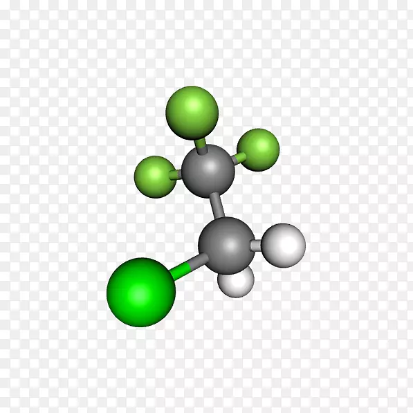 产品Ternua sphere XL字体水果