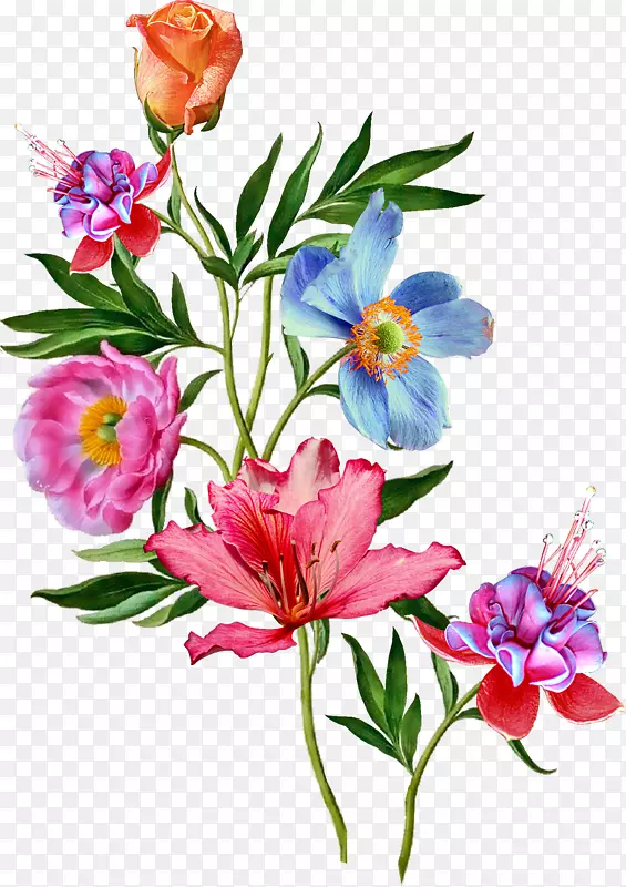 png图片花卉设计剪贴画花卉图像.花
