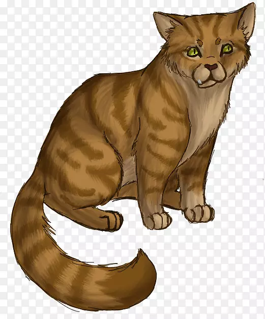 克洛克星的承诺猫森林的秘密战士-猫