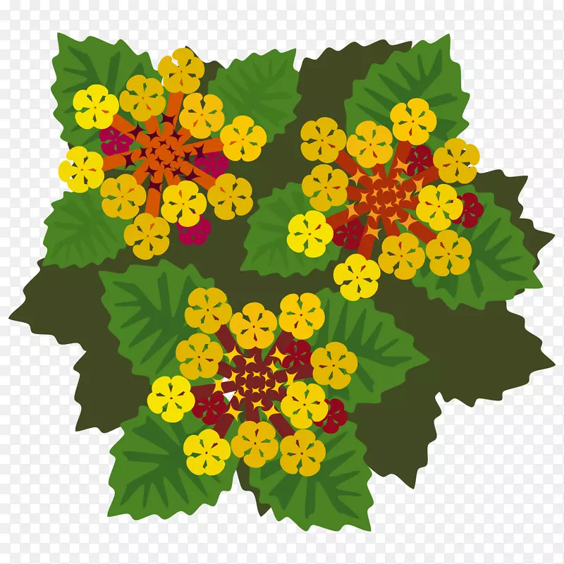 西印度兰塔纳剪贴画图形开放部分花卉