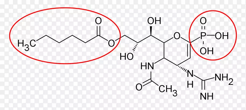 神经氨酸酶抑制剂扎那米韦前药奥司他韦