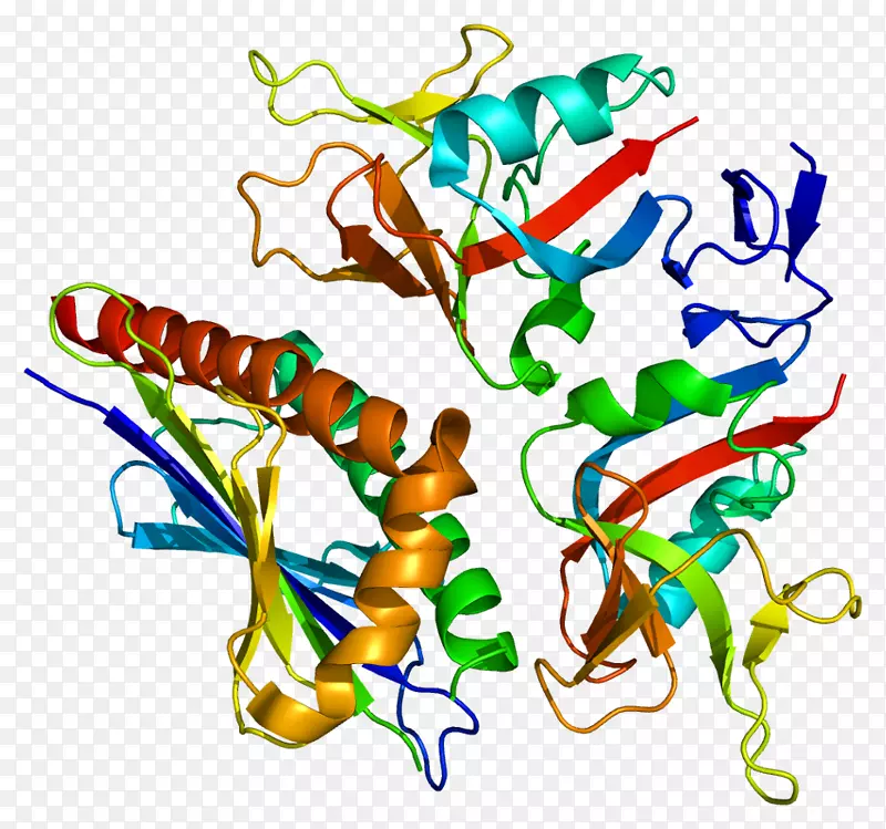 ulbp3ul16结合蛋白3 mhcⅠ类基因