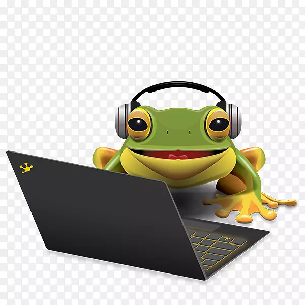 树蛙常见蛙像图片-青蛙