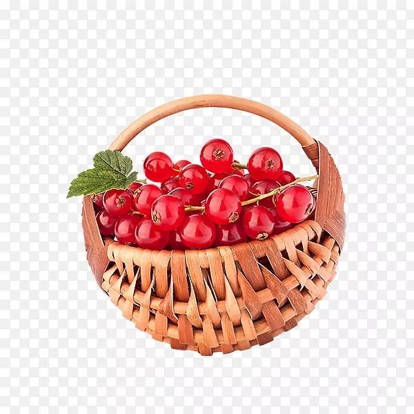红加仑果实蔓越莓插图.因特网元素