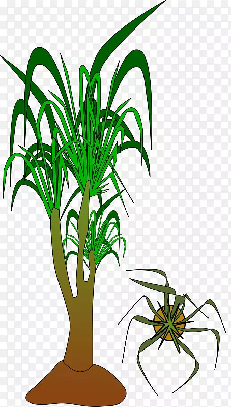 棕榈树剪贴画植物免费内容-花缩略图