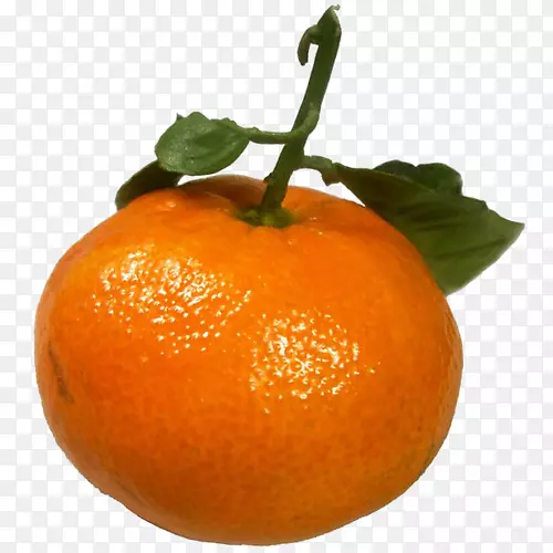 橘子，桔子，曼陀林-水果玉兰