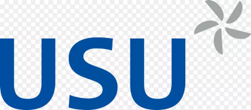 USU软件AG usu GmbH标志计算机软件商标