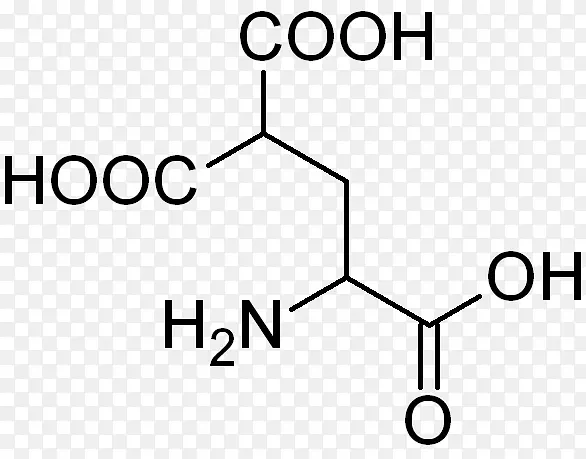 羧谷氨酸羧酸连接酶