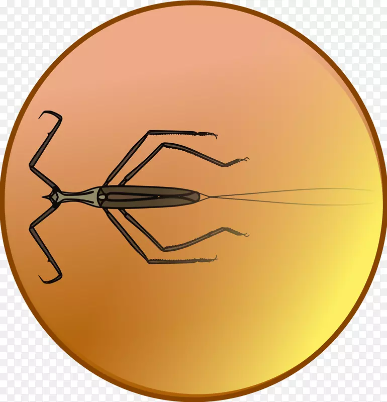 昆虫字体-琥珀徽章