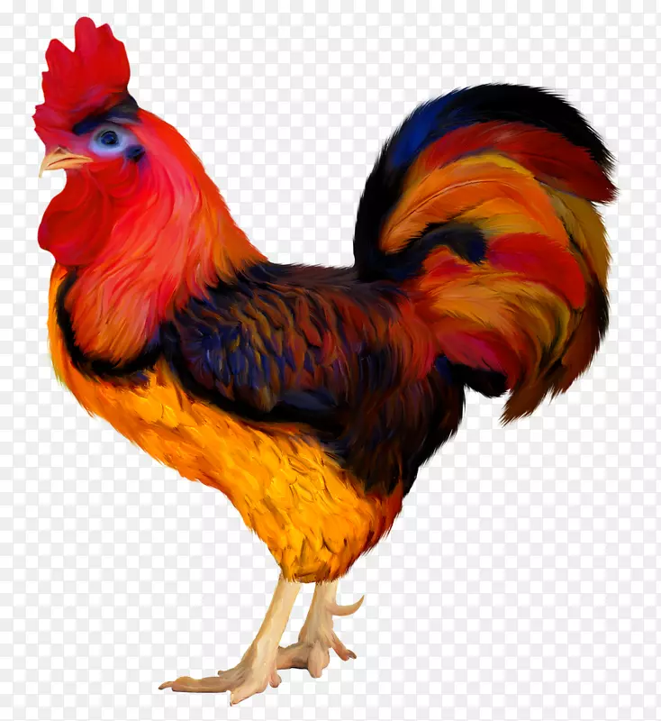 鸡公鸡png图片剪辑艺术鸟-鸡
