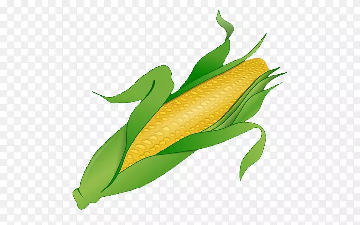 玉米上的玉米糖果玉米剪辑艺术png图片.玉米