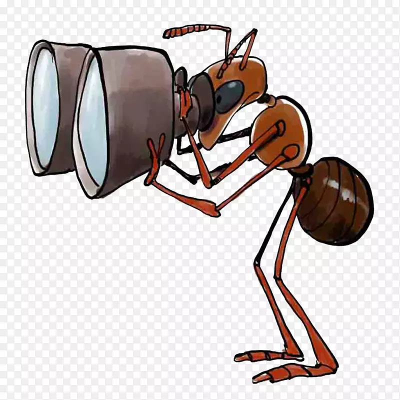蚂蚁协会布戈涅-自然放大镜图像观察