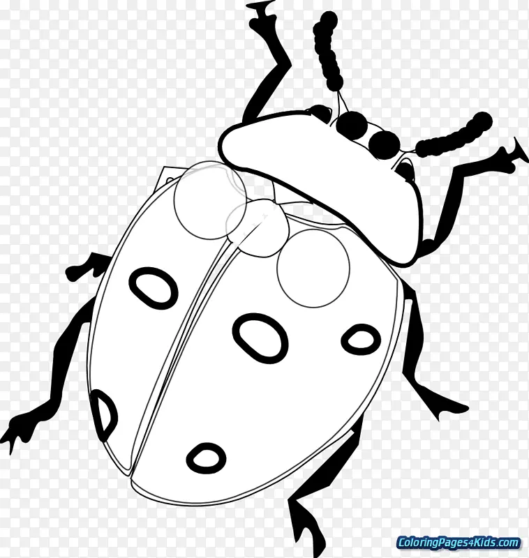 剪贴画图形绘制瓢虫插图.雪纺