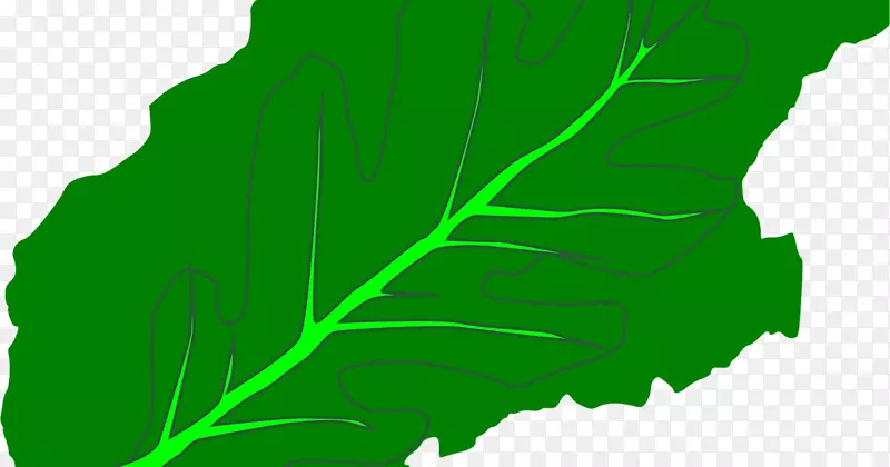 叶绿色植物茎字体树-叶